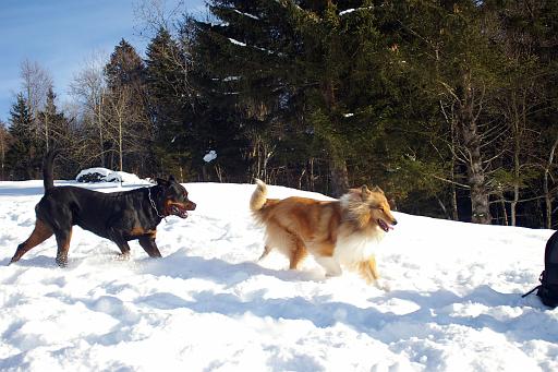 Fotos f. Homepage Galerie 035